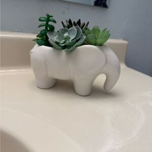 White Elephant Planter with Green Succulents